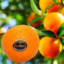 오렌지, 1개, 고당도 블랙라벨 오렌지 중소과 30개입(4.5kg내외)