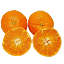 제주도 고당도 레드향 가정용 선물용 3kg 5kg, 중과3kg