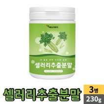 에너데이 셀러리 샐러리 추출 분말 가루 파우더 국산 celery powder, 3개, 230g