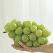[당일수확] 자생푸드 경북 고당도 샤인머스켓, 1kg, 1개