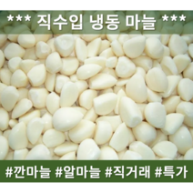 냉동 알마늘(깐마늘)10KG BOX 중국산 Bulk포장