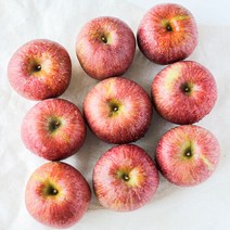 사과의 고장 문경 부사사과 소 5kg/17과이상, 단품