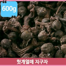 나무에서나는 꿀 지구자 헛개열매 단맛 약초 열매차 건강차 600g 중국산