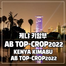 (커피생두) 142 케냐 키암부 AB TOP 1kg