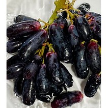 아삭한 블랙 사파이어 포도 900g 1.8kg 핑거포도 가지포도, 사파이어포도 900g(완충포장), 1개