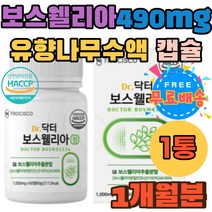 유향 보스웰리아 먹는법 홈쇼핑 추천 타블렛 정제 정 BOSWELLIA 노인 어르신 보스웰리아정 쇠무릅 치커리 보스웰리아 추출물 성분 KBA AKBA 원물 쇠무릎 우슬 보스벨리아