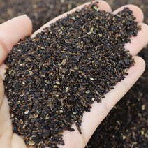 도라지씨앗 도라지종자 도라지씨 재배, 500g