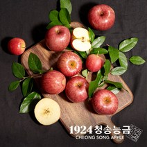 친환경 GAP 사과 청송 경북 꿀사과 부사 가정용 선물용 선물세트 산지직송 3kg 5kg, [5kg선물포장]대과(14~15과)