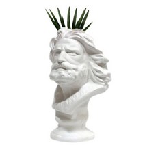 석고상화분 10종 히게 20cm내외 이오난사 선인장