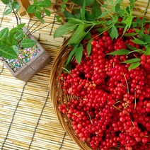 22년산 문경 생오미자 오미자절임 오미자 당절임 10kg 효소 청 효능, 문경 오미자절임 10kg