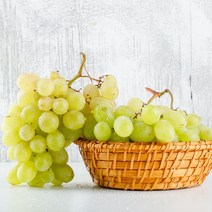 씨없는포도 수입 당도높은 청포도 캠벨포도 샤인머스켓 3.6kg, 청포도 3.6kg