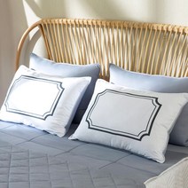 기절 시원베개 1종세트(속통1+냉감커버1), 단품