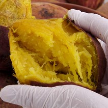 해남고구마생산자협회 해송작목반 고구마, 1박스, 꿀고구마 5kg 대(300g 이상)