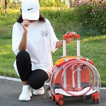 투명 고양이 강아지 캐리어 여행용 백팩 배낭 케이지, 9kg이하, I