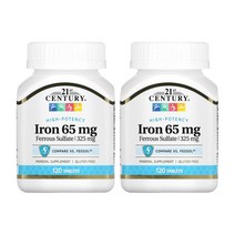 21세기센트리 High-Potency 아이언 철분 글루콘산철 65mg 120정 2세트상품, 2개