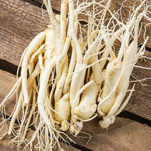 금산 인삼 350g 세척 수삼 인삼꽃주 삼계삼 난발삼 아카시아꿀 동강이 꿀절임 파삼 막삼 가정용삼 인삼차, 08_1I9V_세척원수삼(중)375g