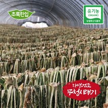 국내산 유기농 건무청 말린시래기 500g, 상세페이지 참조, 단품