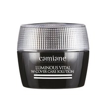 카미안느 기미/잡티 완화 시그니처 기미 탄력 광채 크림, 50g, 1개
