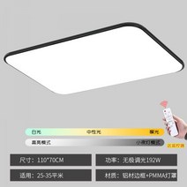 거실 램프 2022 새로운 LED 천장 조명 원격 제어 침실 램프 간단한 현대 가정 대기 발코니 램프, 14 - 어두운 보라색