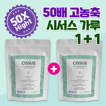 healthway 헬스웨이 시서스가루 50배 농축 추출물 250g 대용량 시저스, 2개