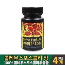 콜레우스 포스콜리 콜리 우스 포스콜리 추출물 콜레오스 포스콜린 가루 분말 정 알약 타입 타블렛 형 먹는법, 4통, 60정