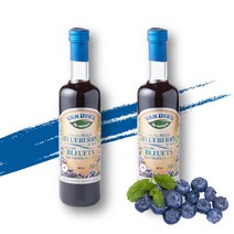 블루베리 주스 100% 원액 캐나다산 500ml 2병 파아란마을, 블루베리주스 500ML 2개