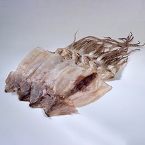 홍천철원 영덕 반건조 오징어 (특) 10마리(1250~1400g) 마리당 개별포장, 없음
