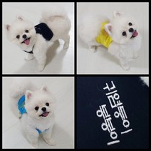 귀여운 강아지 옷 크롭 끈나시 이름 각인 명품옷 고양이 xs-2xl, 블랙
