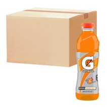게토레이 이온음료 오렌지 600ml x 12pet 스포츠음료 음료수, 12p