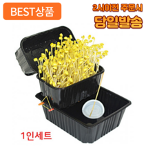 어펄스 콩나물 재배기 세트 키우기 기르기 키트 1인세트