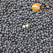 [황토밭푸드] 22년산 국내산 100% 쥐눈이콩(서안태) 1kg - 2kg, 1개
