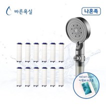 [GIVER EVENT] 바른욕실 5단 샤워기 1개 + 필터 12개 여행용샤워기 아이샤워기 정수샤워기, 회색계열/바른욕실 5단 샤워기 1개 + 필터 1개