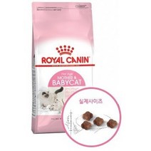 로얄캐닌 마더 앤 베이비 캣 2kg 임신고양이 수유고양이 4개월미만 아기고양이