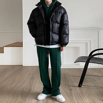 겨울 후드 숏 패딩 점퍼 / 레드 블랙 베이지 블루 크림
