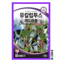 유칼립투스레드하트 10립 / 수목 종자 마당 절화용 관상용 정원 텃밭키우기 조경가꾸기 허브
