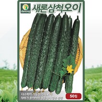 고온기재배에 유리/가시오이 새론삼척오이씨앗 50립
