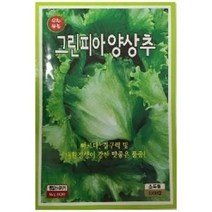 G 양상추 그린피아 씨앗 1500립, 상세페이지 참조