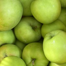 브랜드없음 [오늘신선] 청송네자매 경북 청송 시나노스위트 맛있는 사과 2.5kg 소과(10-11과내외), 단품없음