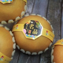 [매일새벽 수확] 고당도 신고배 선물용 가정용, 가정용 5kg (8~10과)