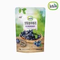 [뉴뜨레] 냉동 블루베리홀 1kg, 5개, 1