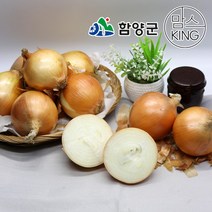 [함양군]함양농협 함양군 농특산물 품질인증 1호 지리산 함양양파 10kg, 단품