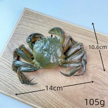 음식모형 빵모형 고기모형 시뮬레이션 털이 게 모델 남성 여성 금형 소품 음식, 1pcs+green