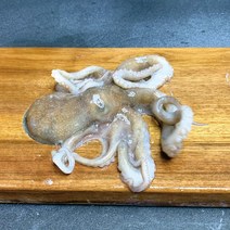 산낙지 1마리 단위로 판매 소 중 대 특대 사이즈 오후 3시 주문 분까지 당일발송 내일도착 화요일만 발송 없음, 대 1마리