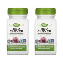 네이처스웨이 비건 붉은 토끼풀 꽃 허브 400mg 100정 2개