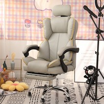 아크릴 전갈 캠핑 낚시 데스크 의자 게임 Pc 사무용 가구 게이머 개별 안락 바, 09 Gray pedal