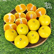 제주 서귀포 하우스귤 감귤 제주도 귤 밀감 3 5 10kg, 1박스, 2kg 로열과(S-M)