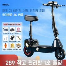 기함급전동킥보드 듀얼 로드 고성능 고스펙 전동스쿠터, 표준 브러시드 24v 핑크 50~60마일
