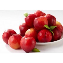 김천 자두 후무사 대석 하우스 소과 중과 고당도1Kg, 하우스 자두 1Kg 소과 (21-30과), 1개