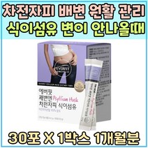 차전자피 분말 배변 원활 관리 식이섬유 장건강 장 트러블 비우기 화장실오래 쾌변 배변활동 도움 질경이 씨앗 껍질 Psyllium husk 포만감 예민한 변이안나올때 운동부족 딱딱한변