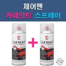 쌍용 체어맨 AAU ABD ABF ABS ACD LAE SAB SAF WAA 자동차 차량용 도색 카페인트 스프레이 세트, 1-2. ABD 다크그레이+투명